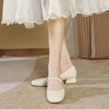 Toloer Head Mary Jane Shoes Female 2024 New Summer Fairy Wind Elegant In Thick Heel Gentle Silver Single Shoes With