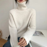 Wind, High Collar, Thin Sweater, Bright Silk Design, Solid Color Slim, Bottomed Sweater, Autumn And Winter Blouse-Outfit