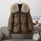 2024 Winter New Down Cotton-Padded Clothes Female Short Foreign Style Korean Version Loose Cotton-Padded Clothes Female Big Hair Collar And Thick Cotton-Padded Jacket-Outfit