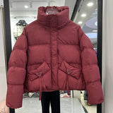 Winter New Standing Collar Down Jacket Female Short Style Casual Fashion Add Thick Small Bread Clothing White Duck Down Coat Tide-Outfit