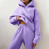 Toloer 2024 Women's Solid Color Casual Fashion Pants And Thick Long-Sleeved Hoodie Hoosuit For