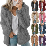 Women Teddy Jacket Coat Solid Fleece Warm Zipper Hooded Coats Autumn Thick Plush Oversized Female Sweatshirts