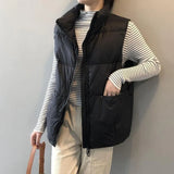 New Down Cotton Han Version Of Autumn And Winter Loose Thin Horse Clip Women's Fashion Vest