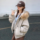 The New 2024 Winter Korean Winter Dress With Velvet And Thick Coat-Outfit