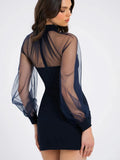 Sheer Long Sleeve Mock Neck Bodycon Mini Dress-Outfit