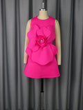 Temperament Round Collar Sleeveless Dress Three-Dimensional Flower A Set Up A Famous Party Evening Dress Dress