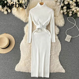 Autumn Winter Women Knitted Dress Turtleneck Sweater Dresses Lady Slim Bodycon Long Sleeve Bottoming Dress
