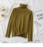 Women's Turtleneck Sweaters 2022 Autumn Winter Sweater Knitted Pullover Long Sleeve Women Sweaters Tops Jumper Pull Femme