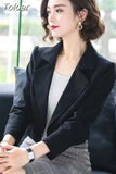 Thin Clothes Fashion Small Blazer Casual Solid Color Top Office Work Elegant Single Button Office Translucent