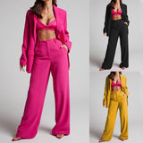 Toloer Spot 2024 Spring New Fashion Temperament Lapel Long Sleeves High Waist Trousers Two-Piece Set-Outfit