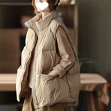 New Down Cotton Han Version Of Autumn And Winter Loose Thin Horse Clip Women's Fashion Vest
