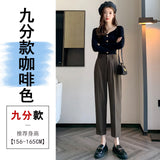 Grey Suit Pants Female Autumn New Ice Silk Pants Hanging Feeling Show Thin Harun Nine Points Casual Straight Tube Smoke Pipe Pants-Outfit