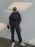 Basic Solid Hooded Tracksuit Set-Outfit