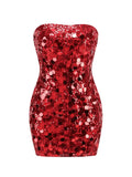 Sequin Bodycon Tube Mini Dress-Outfit