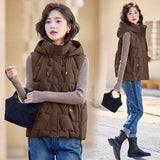 Down Cotton Vest Female Autumn Winter 2024 New Korean Version Vest Stand Collar Short Horse Clip All-Padded Clothes Vest Coat-Outfit