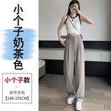 Narrow Version Wide Leg Pants Female Summer Ice Silk Pants Small Thin Hanging Feeling Straight Tube Casual Show Thin Contracted Floor Pants-Outfit