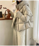 Merard Coffee Color Short Small Hooded Down Jacket Women's Winter 2024 New White Duck Velvet Thick Coat-Outfit