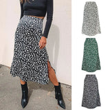 Toloer / Summer 2023 Leopard Print Slit Skirt Sexy Zipper High-Waist Long Skirt-Outfit