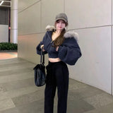 New Wool Collar Hoodie Jacket Zipper Spring And Autumn Short Design Top Short