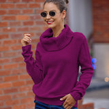 Sweater Women's Horse Hair Solid Color Long-Sleeved Collar Knitwear Shirt In Autumn And Winter