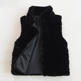 Fur Lady Stand Collar Artificial