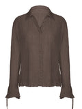 Semi Sheer Long Sleeve Pleated Blouse-Outfit